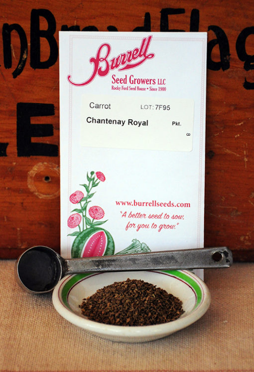 Chantenay Royal Carrot Seeds