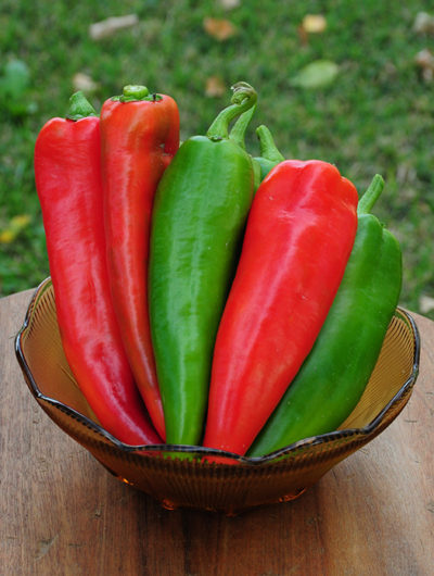Joe E. Parker Chili Pepper Seeds