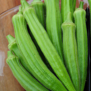 Okra - Perkins Green Long Pod