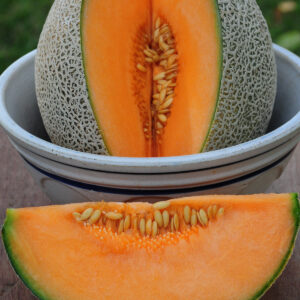 Cantaloupe - San Luis F1 Hybrid