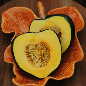 Squash Winter - Taybelle PM Acorn F1 - Treated Seed