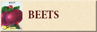 Beet Seeds