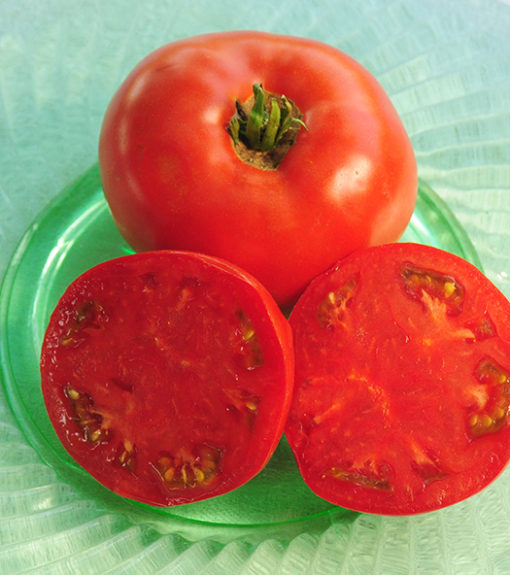 J. Moran Tomato Seeds