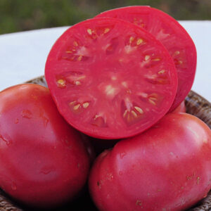 Tomato - June Pink