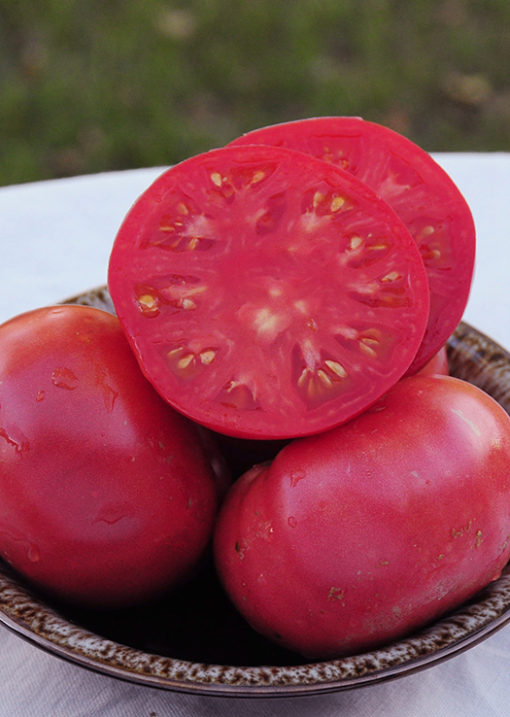Heirloom June Pink Tomato Seeds