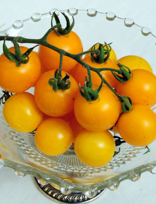 Patio Choice Tomato Seeds