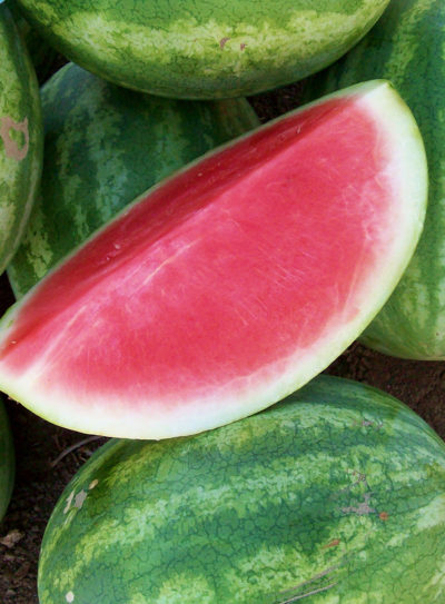 Premont Watermelon Seeds