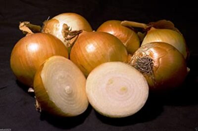 Yellow Globe Onion - Sweet Spanish Utah