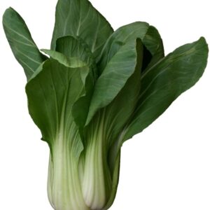 Greens - Pac Choi Cabbage