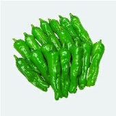 Shishito Green Pepper