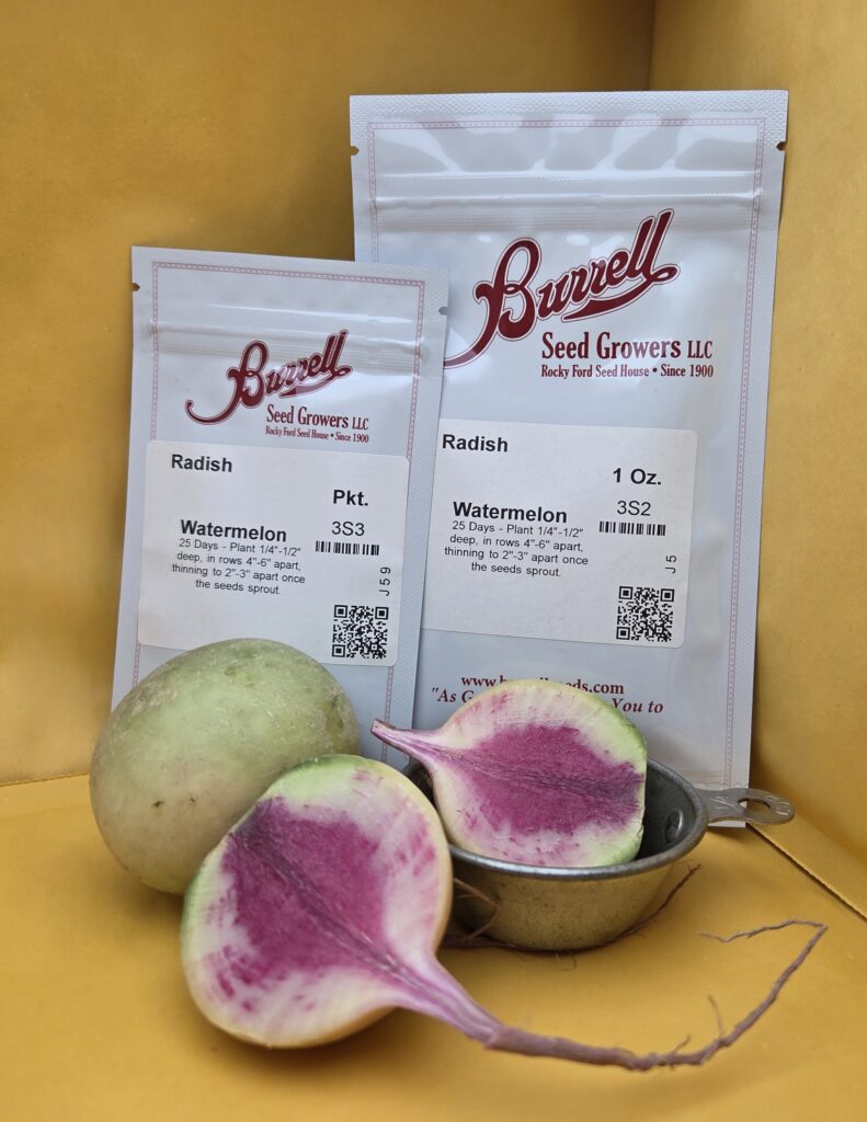Radishes in front of seed packets